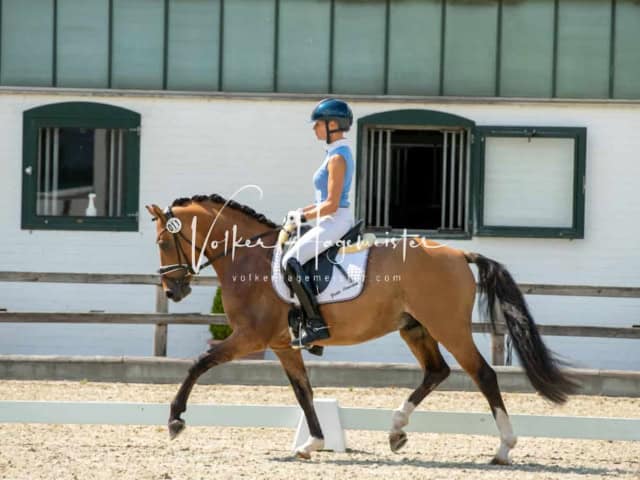 Impressionen PSB BuCha Quali 6