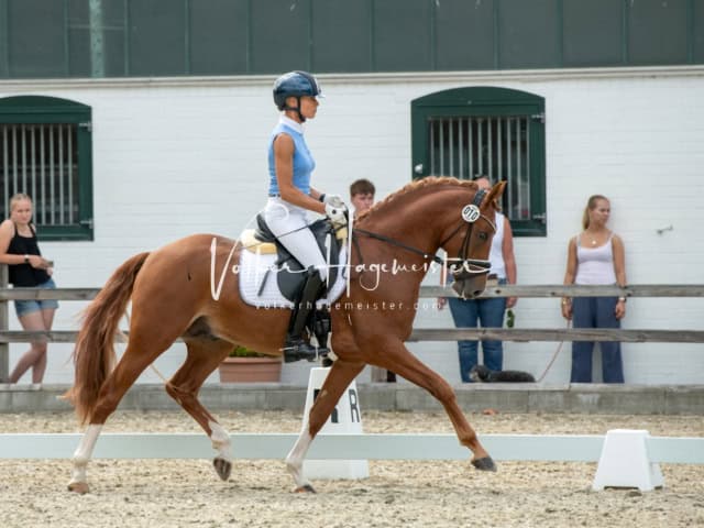 Impressionen PSB BuCha Quali 8