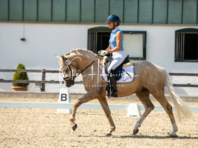 Impressionen PSB BuCha Quali 10