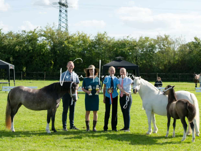 Regionalschau IG Welsh 7