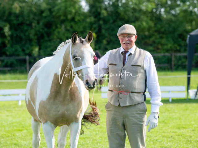 Regionalschau IG Welsh 23