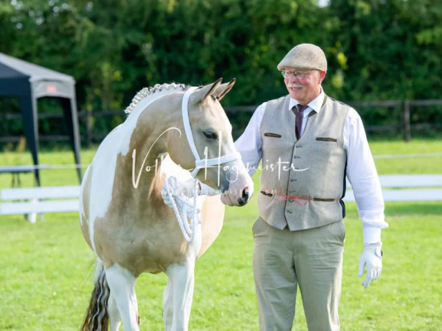 Regionalschau IG Welsh 25