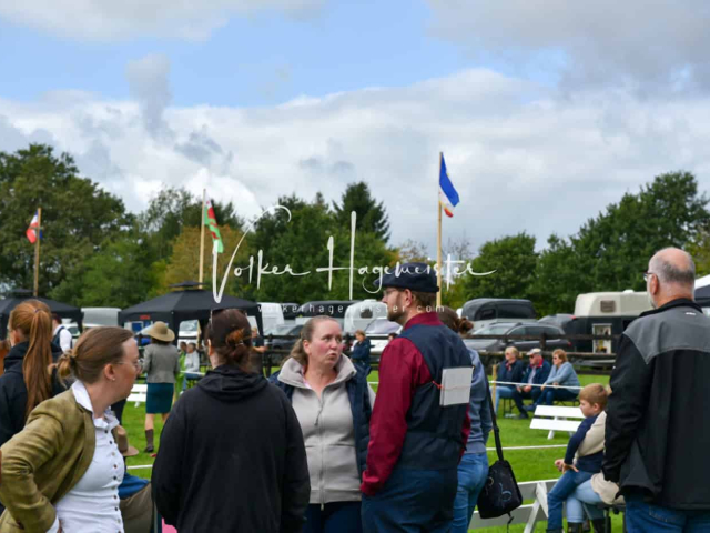 Regionalschau IG Welsh 12