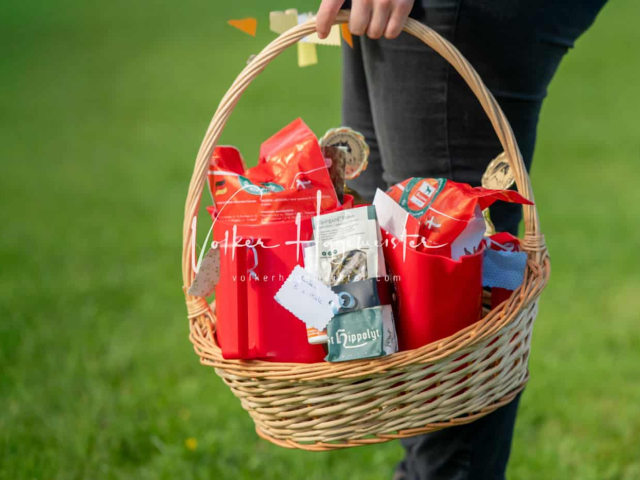 Regionalschau IG Welsh 26