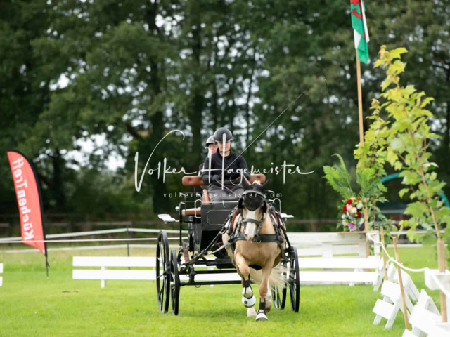 Regionalschau IG Welsh 30