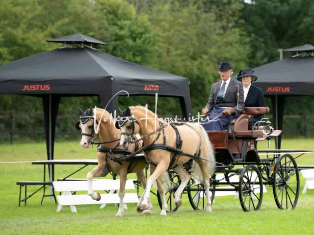 Regionalschau IG Welsh 6