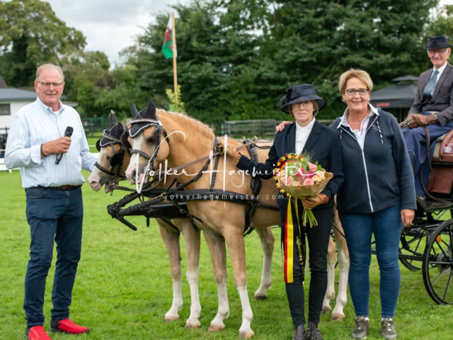 Regionalschau IG Welsh 9