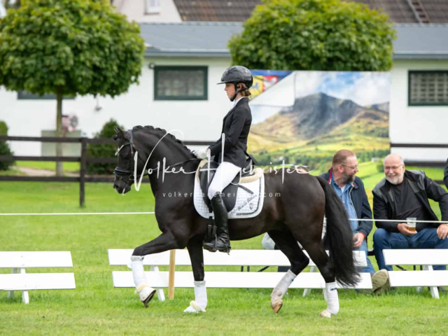 Regionalschau IG Welsh 14