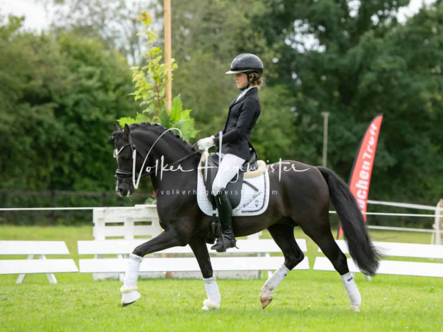 Regionalschau IG Welsh 18