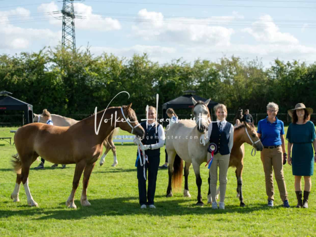 Regionalschau IG Welsh 19