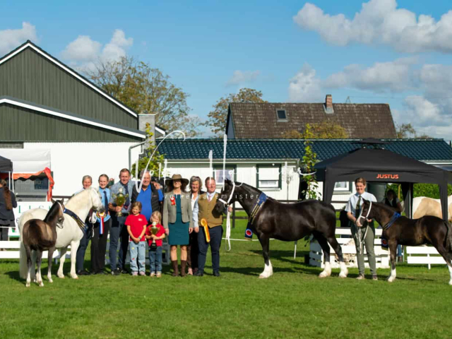 Regionalschau IG Welsh 21