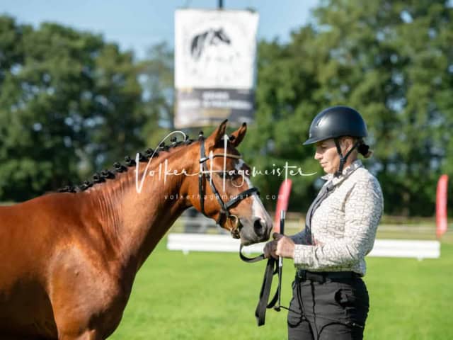 Regionalschau IG Welsh 21