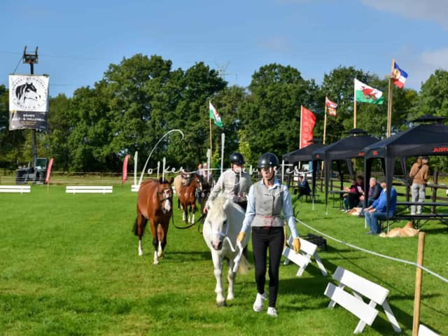 Regionalschau IG Welsh 5
