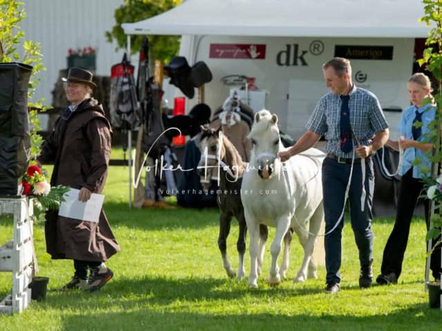 Regionalschau IG Welsh 12