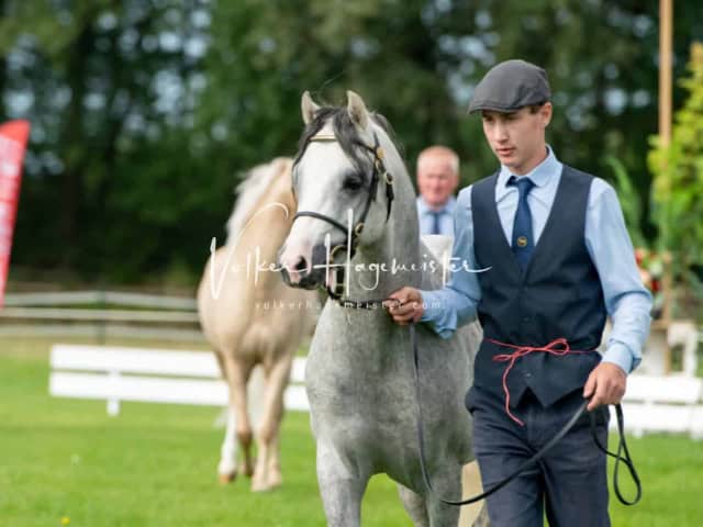 Regionalschau IG Welsh 1
