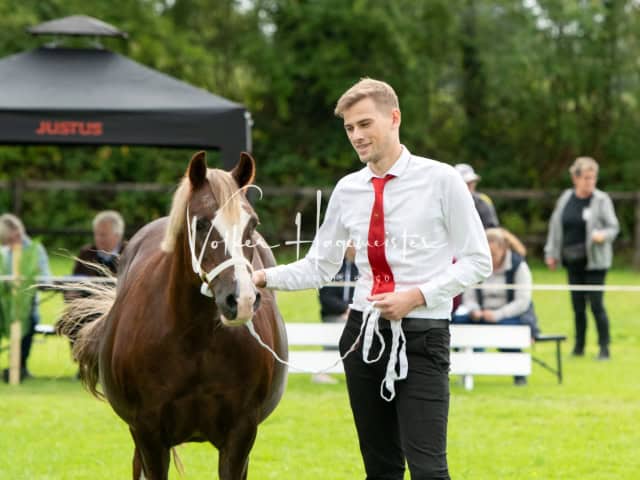 Regionalschau IG Welsh 20