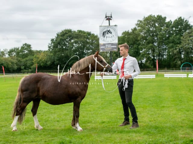 Regionalschau IG Welsh 23